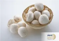 این ماده پر مصرف در ایران عمر انسان ها را به 40 سال کاهش داده است /مافیای داروی شیمایی پشت تبلیغ این غذاست