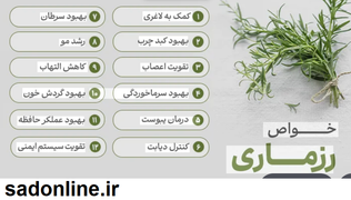 رزماری؛ گیاه هزارساله‌ای که هر عضو بدن را جداگانه هدف می‌گیرد/ از حافظه تا کبد و مو