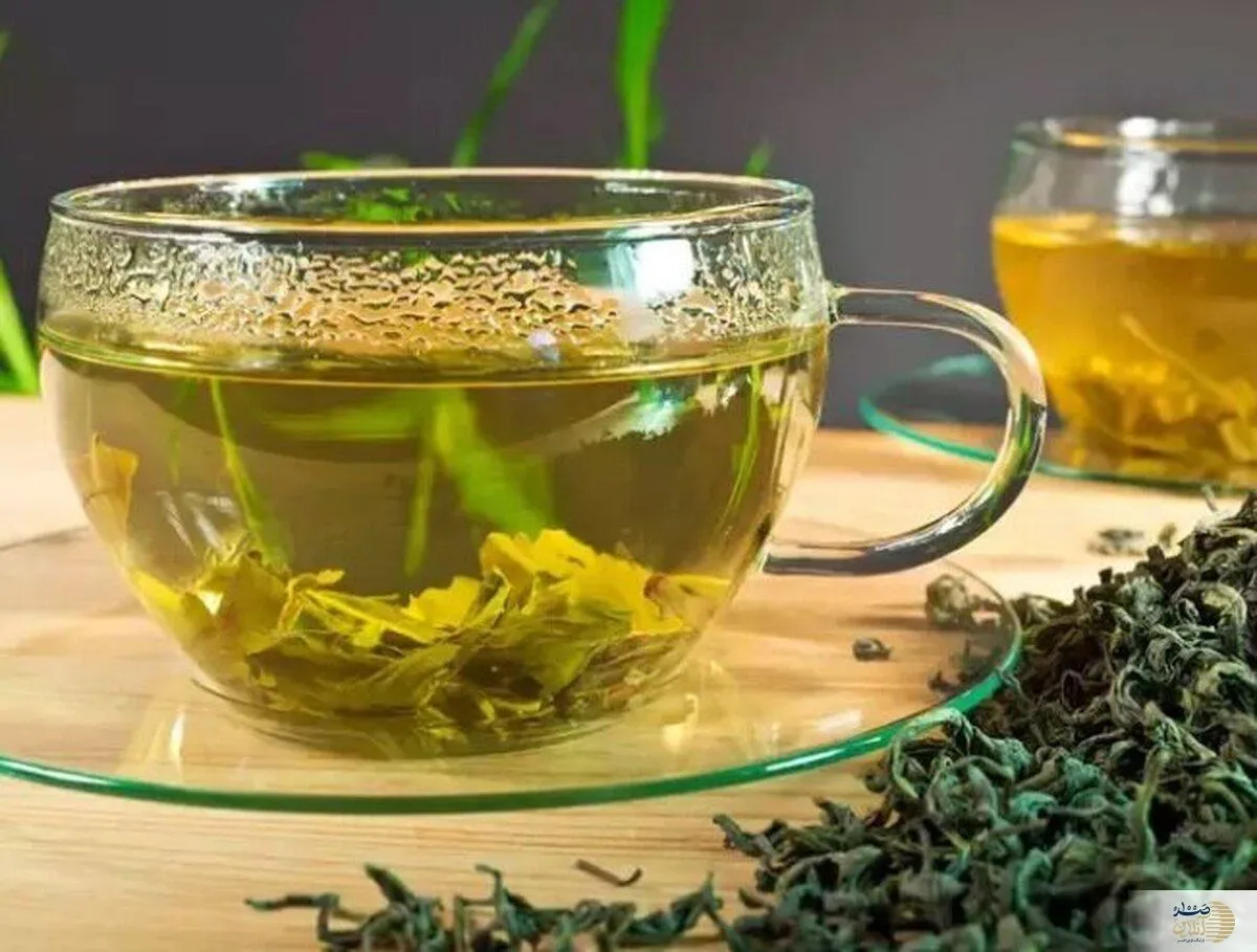 ۴ فنجان چای سبز در روز/ نسخه طبیعی برای کنترل فشار خون