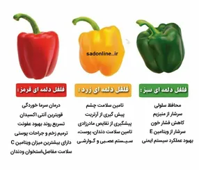 راز جوانی در قابلمه مادربزرگ‌ها! چرا «دلمه برگ سبز» این روزها وایرال شده است؟بمب فیبر که روده‌ها را خوشحال می‌کند!