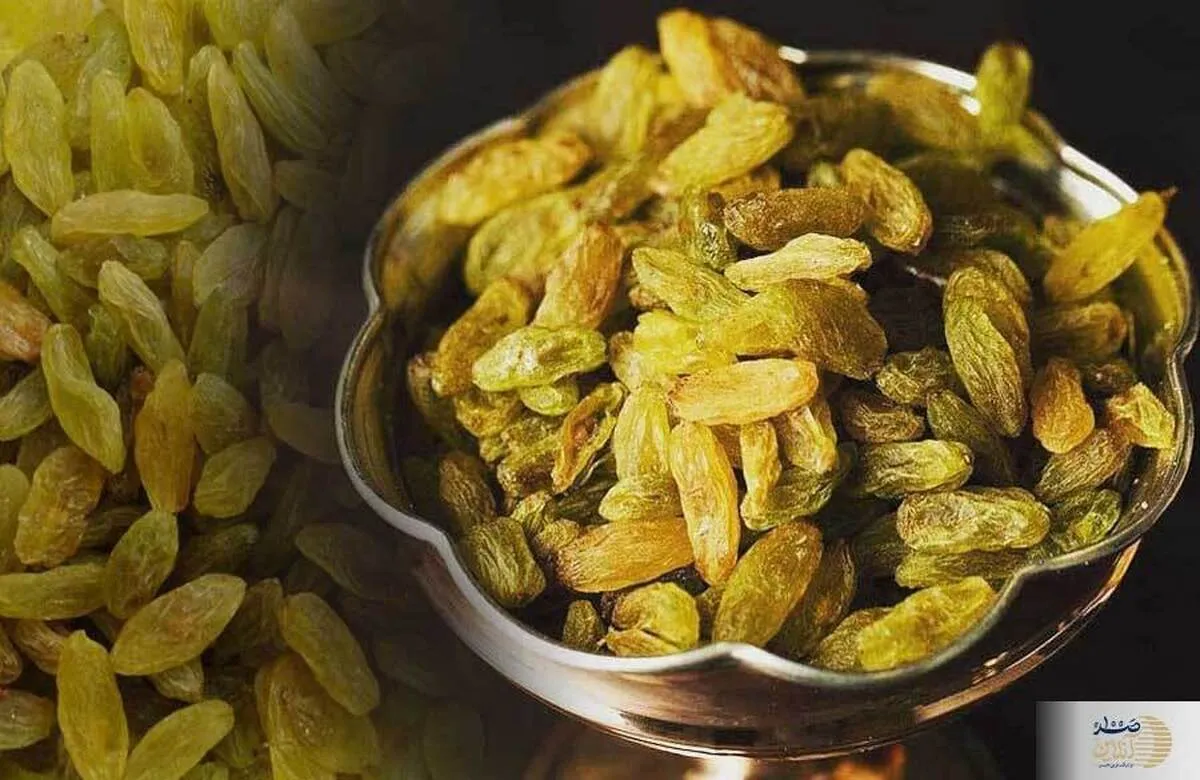 بدون هیچ شکی این دانه ها می توانند بیماری قند خون را کنترل و درمان کنند+ ویدئو