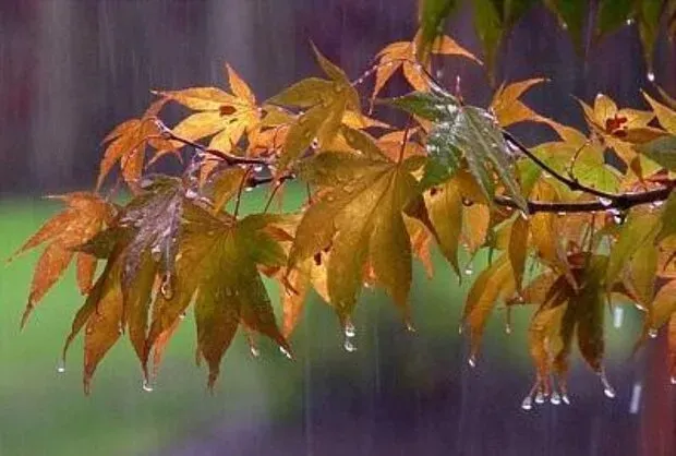 بارش‌های پاییزی از این تاریخ آغاز می‌شود