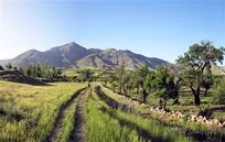 کوه میشو (میشوداغی)