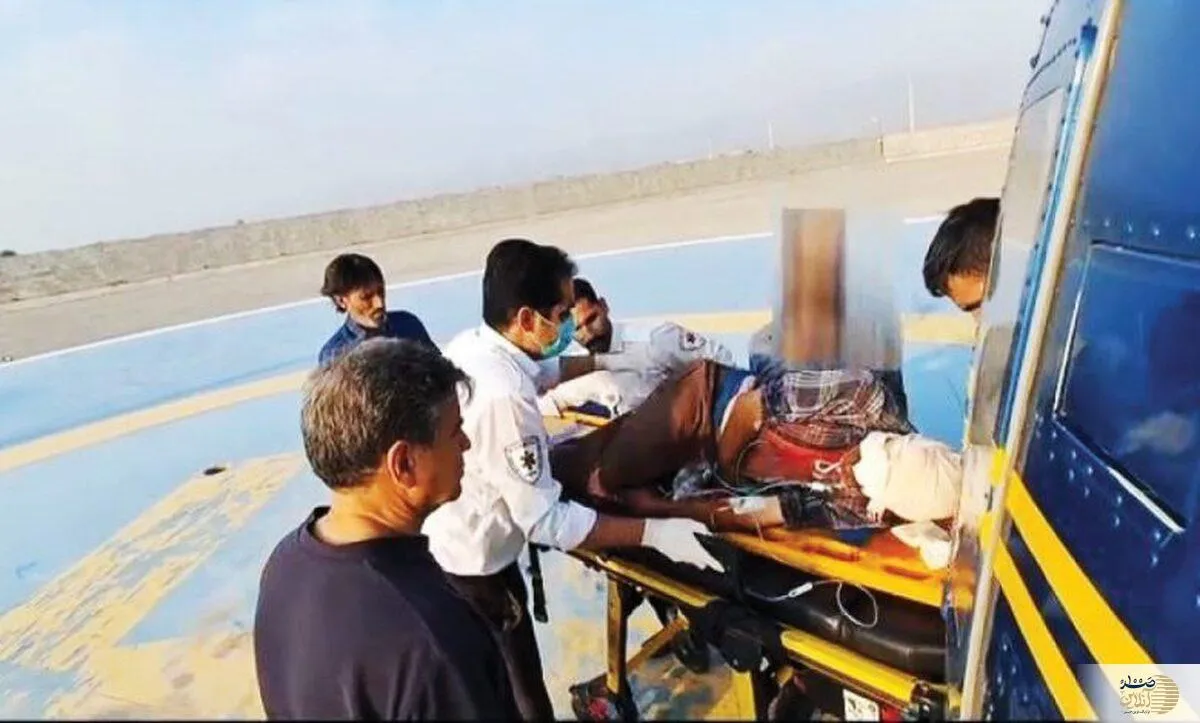 چوپان میانسال از حمله خرس سیاه جان سالم به در برد