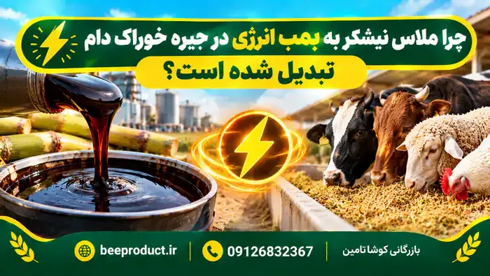 نیشکر