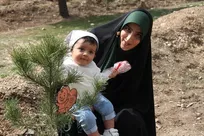 شهری سبز در شمال شرق پایتخت/ کاشت بیش از ۱۶۰۰ اصله درخت در منازل شهروندان