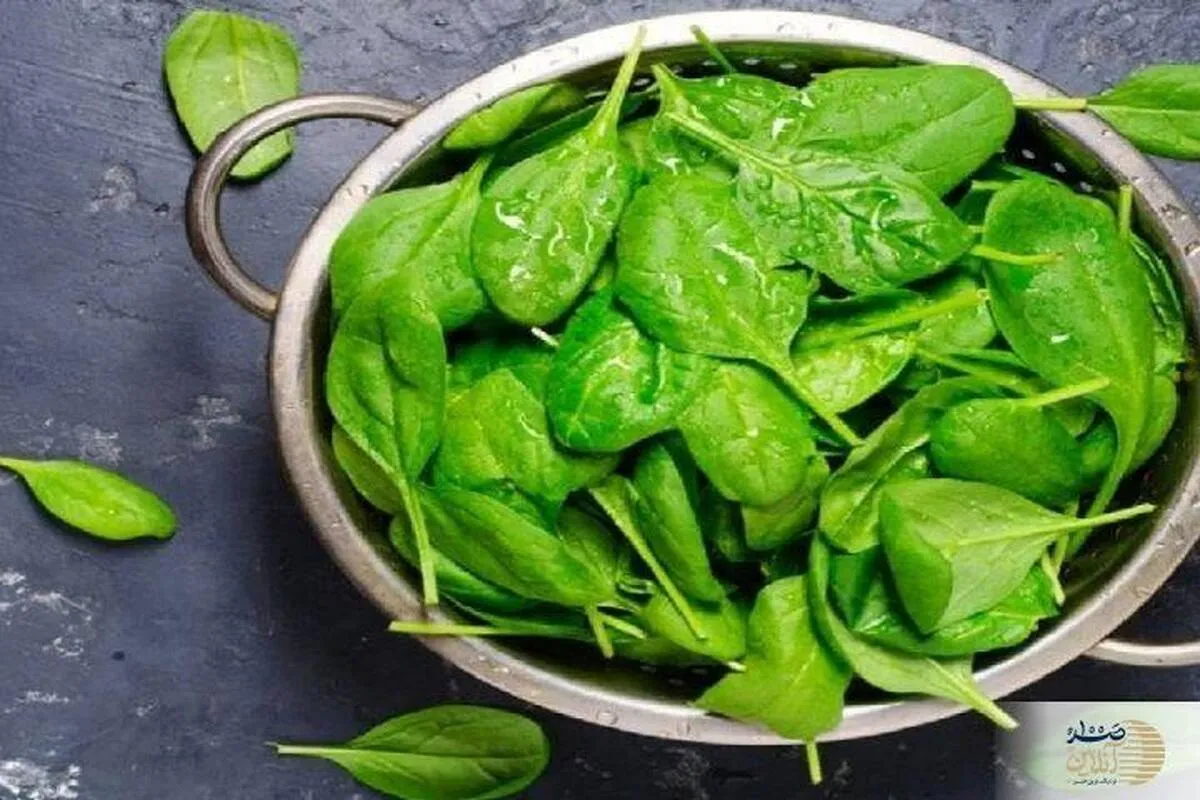 اگر یک استخوان قوی می خواهید بخوانید