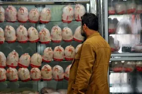 قیمت جدید گوشت مرغ امروز شنبه ۹ آبان ۱۴۰۵