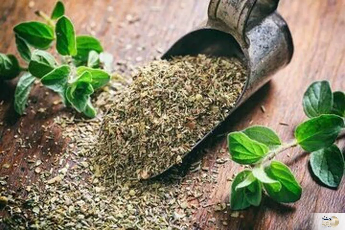 خوشبو بودن این گیاه مسکنی برای فشار خون بالاست