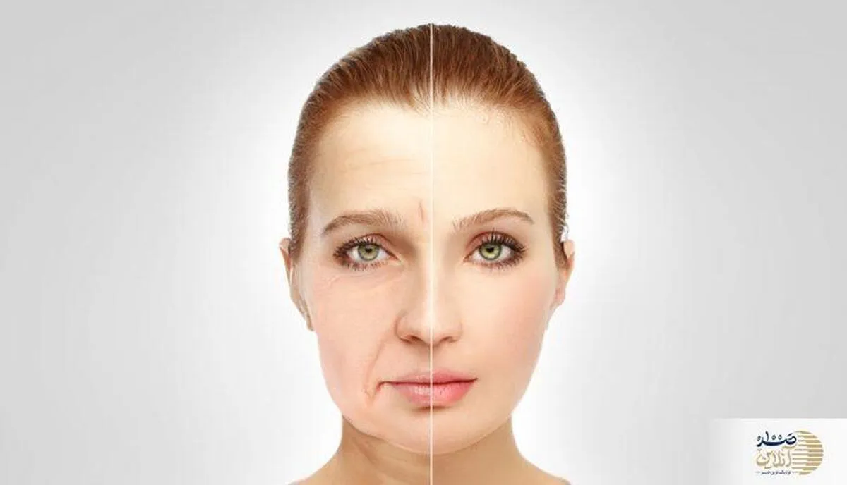 مصرف روزنه این میوه چهره شما را همیشه 10 سال جوانتر نشان می دهد + 170 خاصیت دارویی برای بدن