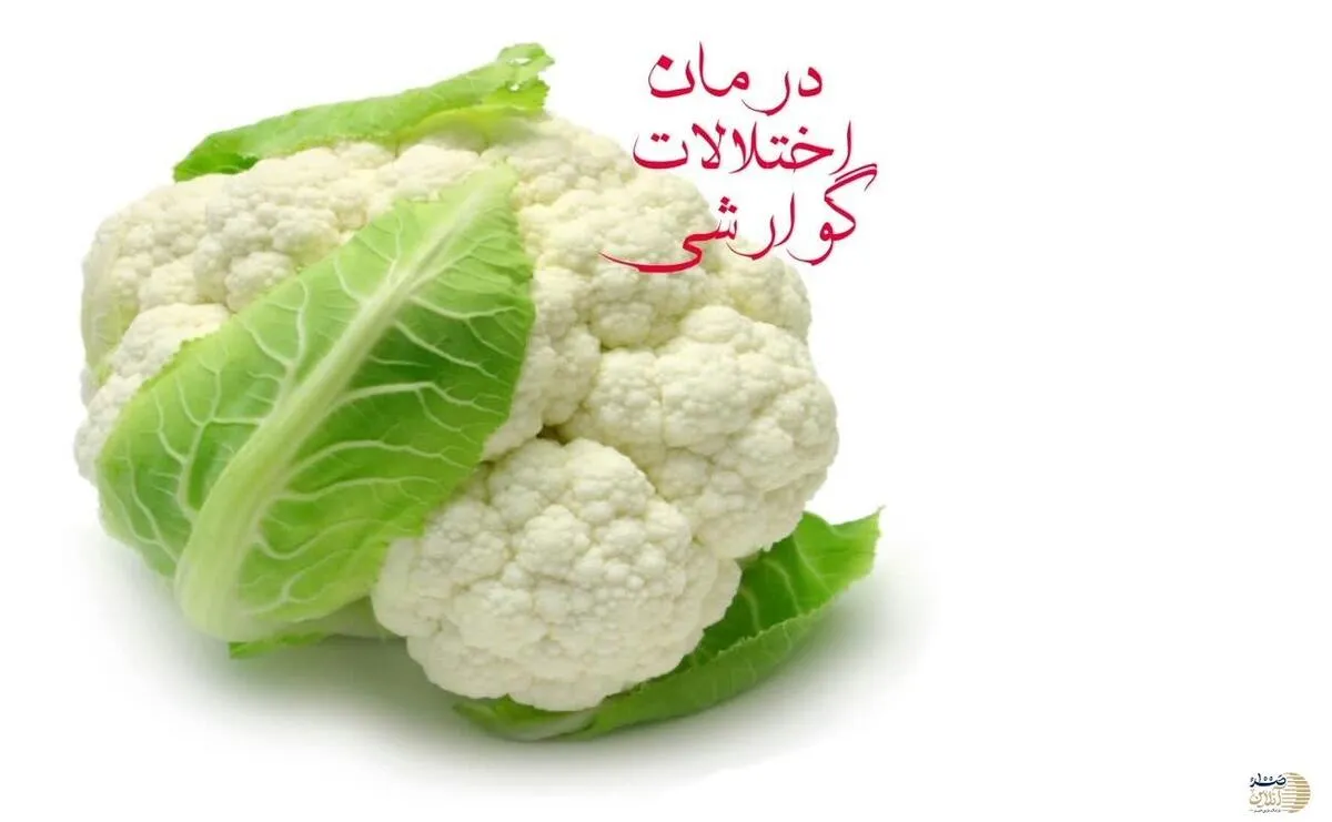 عامل اصلی بیماری های گوارشی کمبود این ویتامین است/اگر شیر و ماهی نمیخورید برای جبران آن این صیفی را بخورید