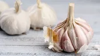 رفع بوی سیر از دهان با ۵ راهکار ساده