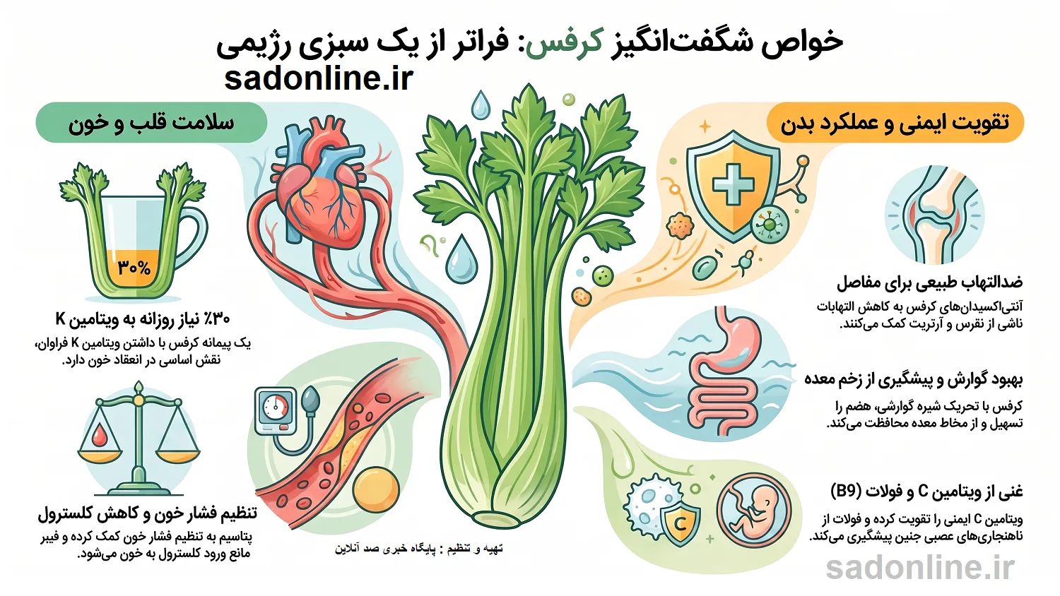 خواص کرفس اینفوگرافیک صد آنلاین
