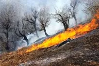 آتش‌سوزی در محدوده کمربندی قلعه‌چنان کارون/ عملیات مهار حریق ادامه دارد