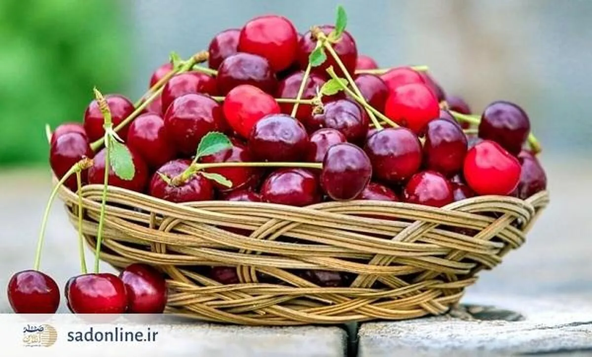 با این خوراکی ها در تابستان هم خوش اخلاق شوید هم پروفسور !