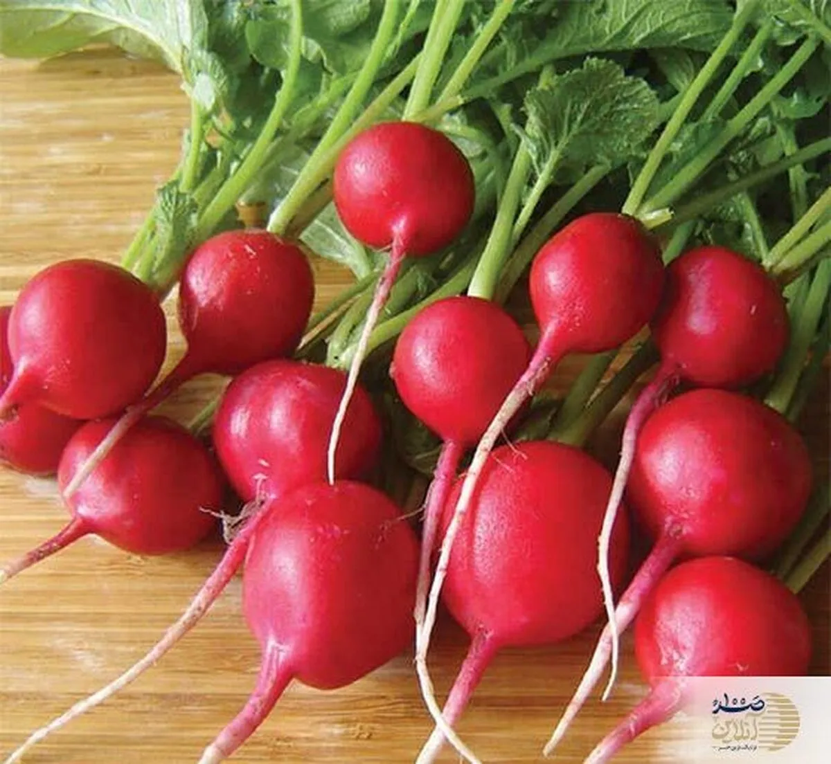 ریشه قرمز این سبزی پادشاه نفخ و گاز معده را در طول روزه داری از بین می برد + منبع عظیم مس ، آهن ، پتاسیم و منیزیم و اسید فولیک