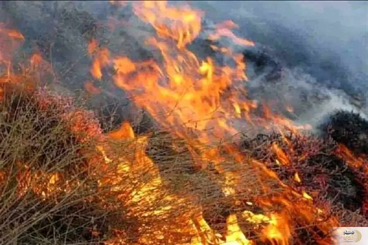 آتش سوزی بلای جان ارتفاعات سرپل‌ذهاب کرمانشاه