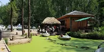 سفر به پارک جنگلی سراوان رشت از بهترین مکان ها برای تفریحات خانوادگی