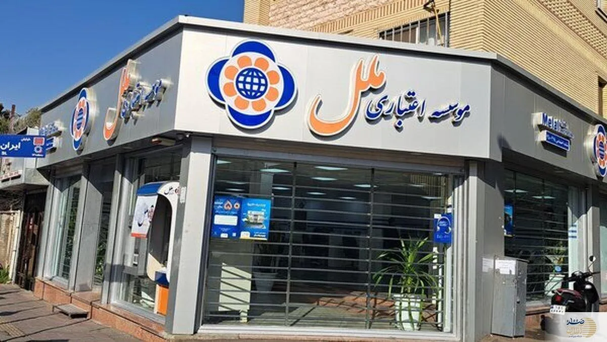 مدیرعامل سابق این موسسه بازداشت شد