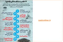 چرا اکثر مردم دانه چیا را اشتباه مصرف می‌کنند؟ رازِ لاغریِ باورنکردنیِ بازیگران هالیوود که در عطاری‌های ایران هم پیدا می‌شود!