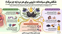 اینفوگرافیک صد آنلاین | راز سیاه در عطاری‌ها؛ دانه‌ای که سرطان از آن می‌ترسد!