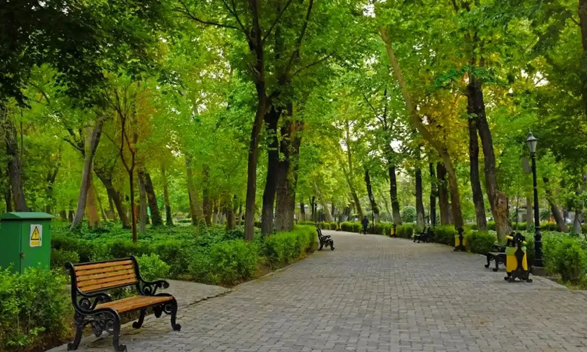 فضای سبز