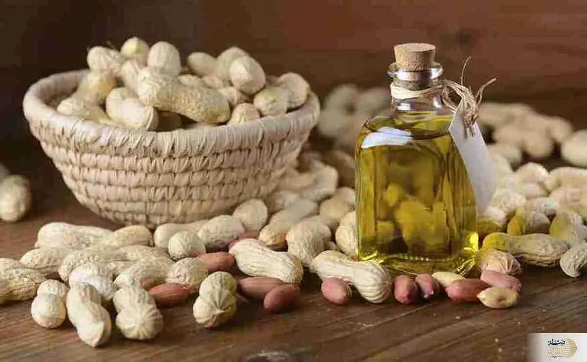 این روغن معجزه می‌کند؛ از خواص ضد پیری تا بهبود عملکرد مغز