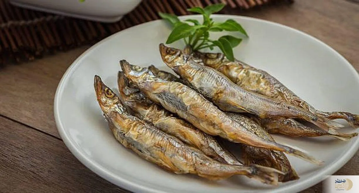 مسمومیت با این غذای دریایی را جدی بگیرید