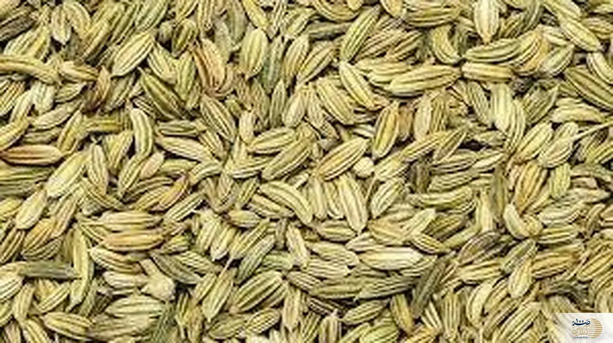 خانم ها در این زمان از ماه از خوردن این گیاه دارویی غافل نشوید