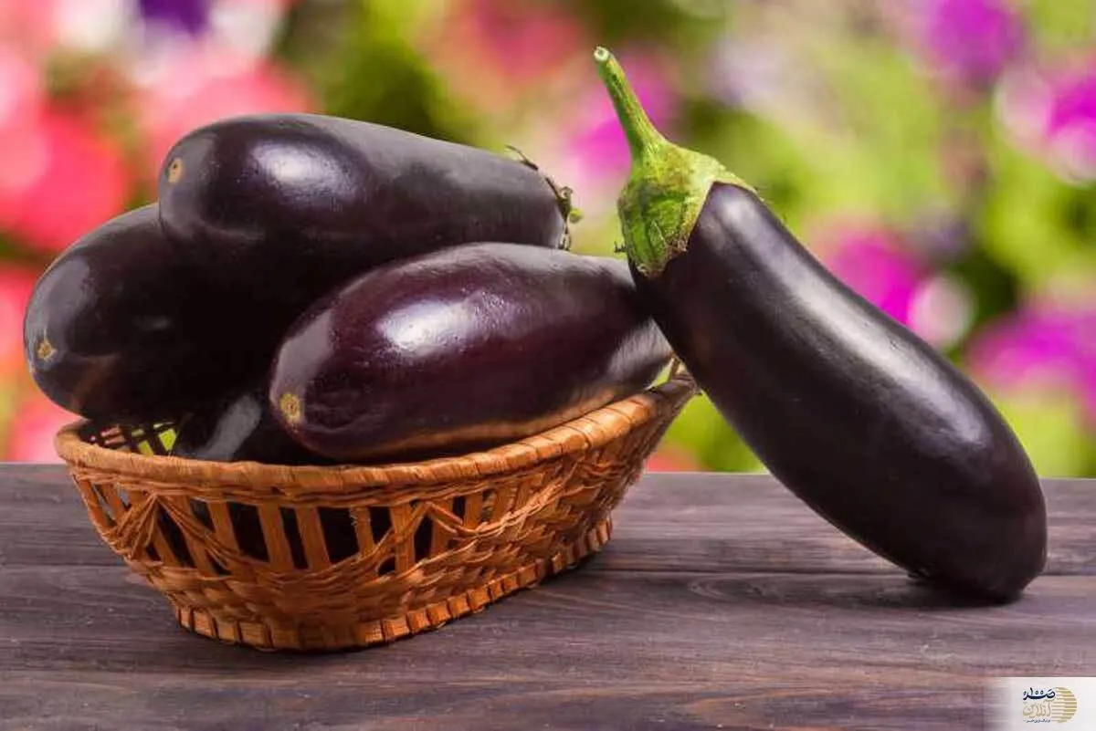 این صیفی سرشار از  پتاسیم، آهن، کلسیم مناسب برای رفع کم خونی