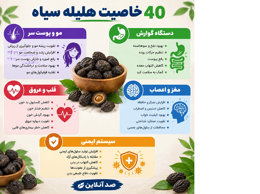 اکسیر شگفت‌انگیز طب سنتی؛ ۴۰ خاصیت معجزه‌آسا و ناشناخته «هلیله سیاه» / از معکوس‌کردن سفیدی مو تا تقویت حافظه و سم‌زدایی معده