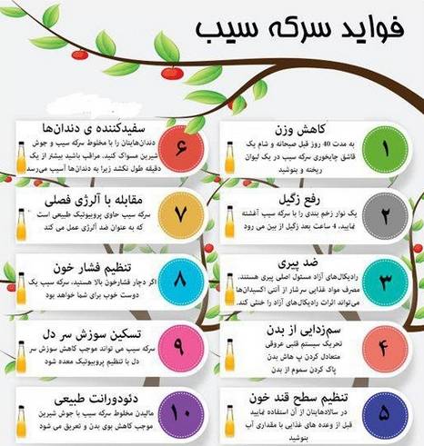 اکسیری که بی توجه مانده است | معجزه لاغری؟ کاهش ۴۰ کیلوگرمی وزن در ۱۴ روز با سرکه سیب!