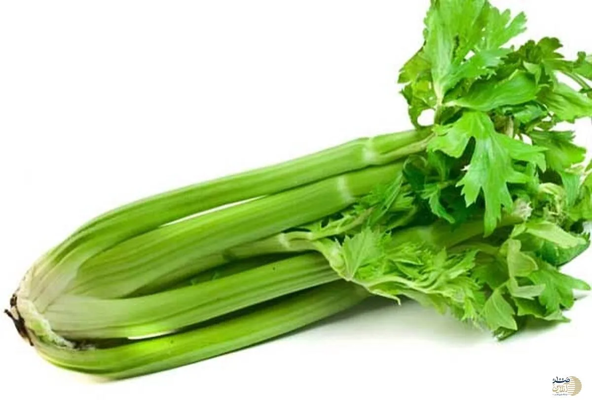خواص برگ و آب کرفس برای سلامت که از آن بی خبرید