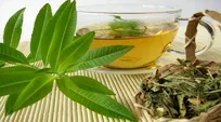 با این گیاهان عفونت‌ها را برطرف کنید