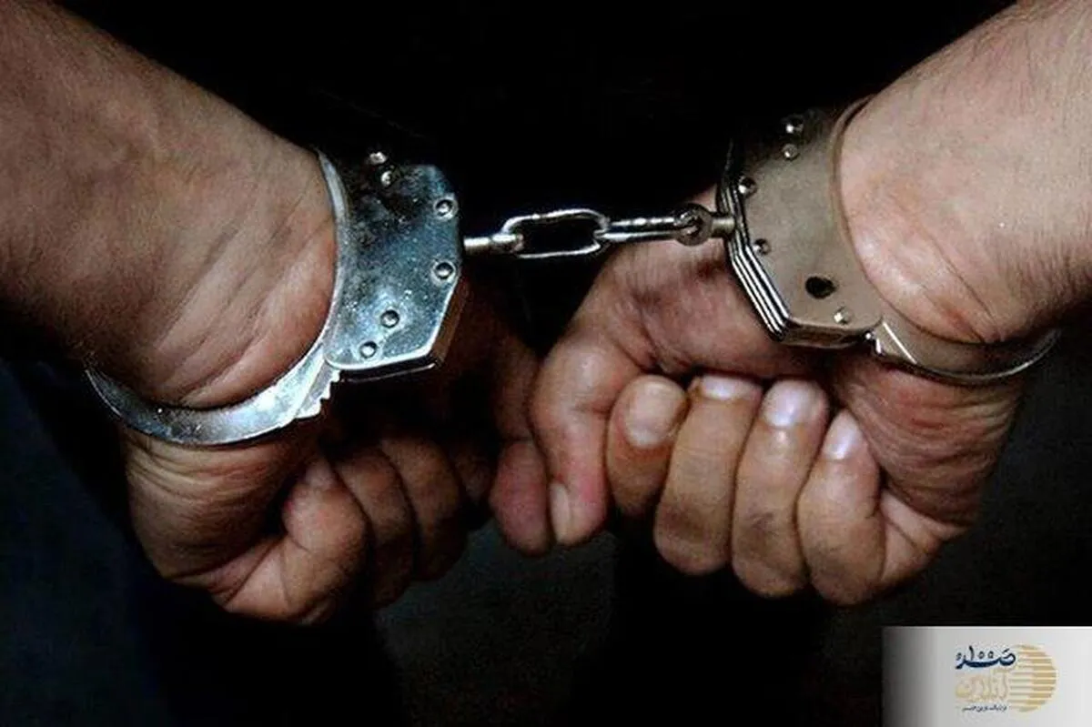 ۷ ​​عامل مرتبط با شبکه های معاند دستگیر شدند