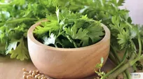 اگزمای تابستان را با این سبزی پادشاه در ناشتا درمان کنید