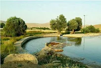 ویدیو /  روستای تنبورسازی ایران کجاست؟ اینجا شکارگاه خسروپرویز بود