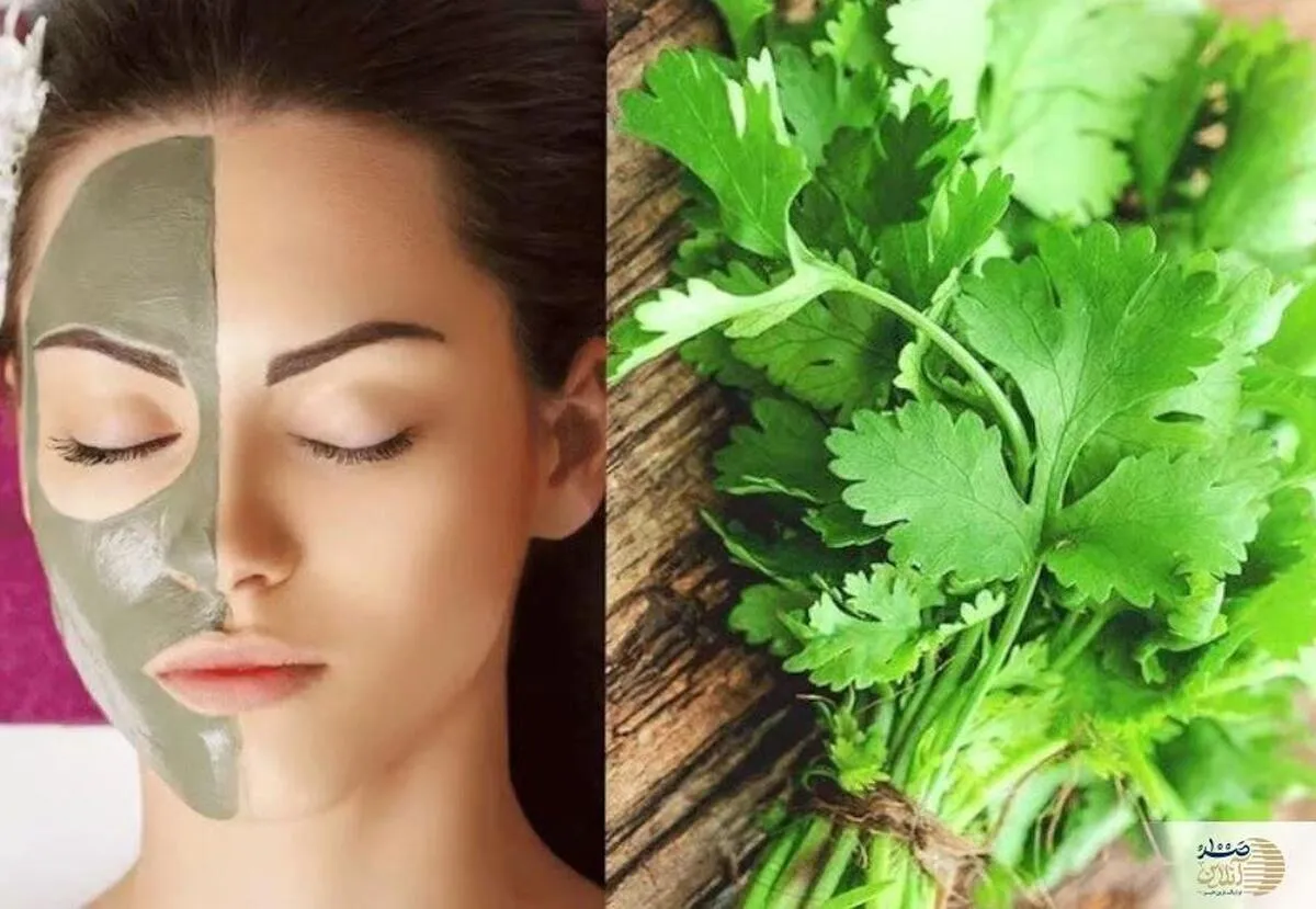 طبع سرد اما خواص داغ؛ گشنیز چگونه معجزه می‌کند؟
