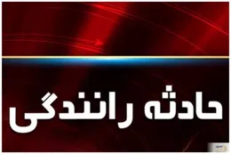 تصادف وحشتناک اتوبوس با کامیون دست کم ۱۹ کشته بر جای گذاشت