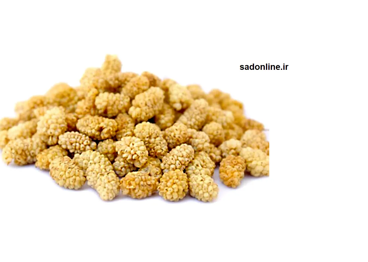 خواص توت خشک