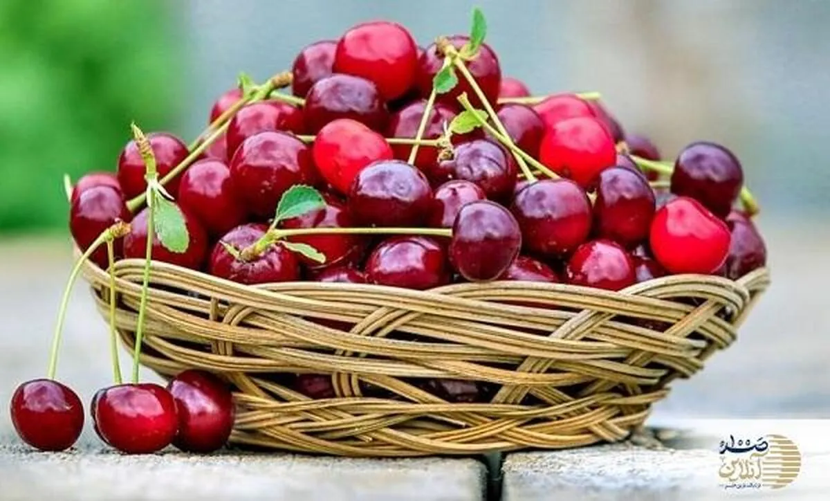 این میوه شیرین یک خواب راحت را به شما هدیه می دهید