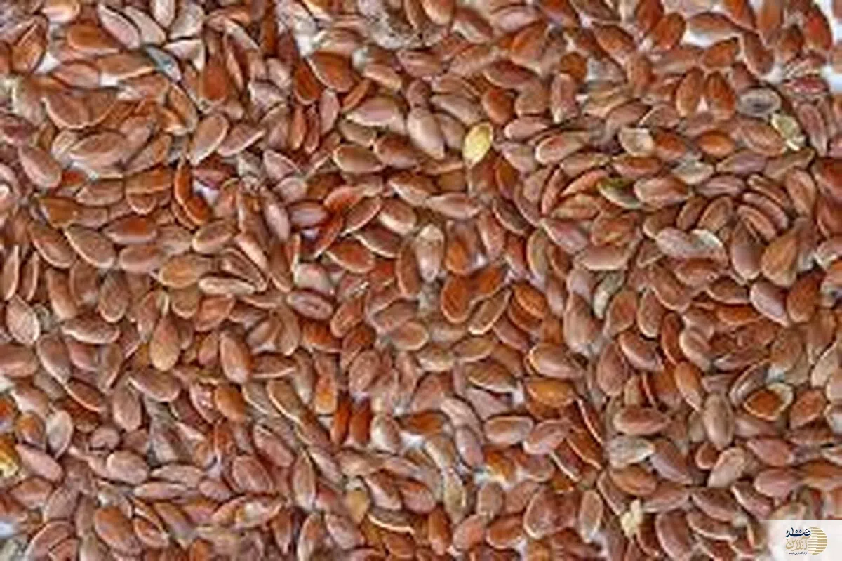 شانس زنده بودن تا صد سالگی بدون بیماری با مصرف روزانه این دانه