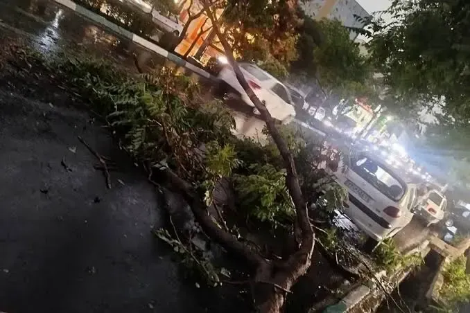 باد شدید و طوفان در تهران / قطع برق در برخی مناطق