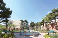 ترنج زندگی، میزبان گردشگران