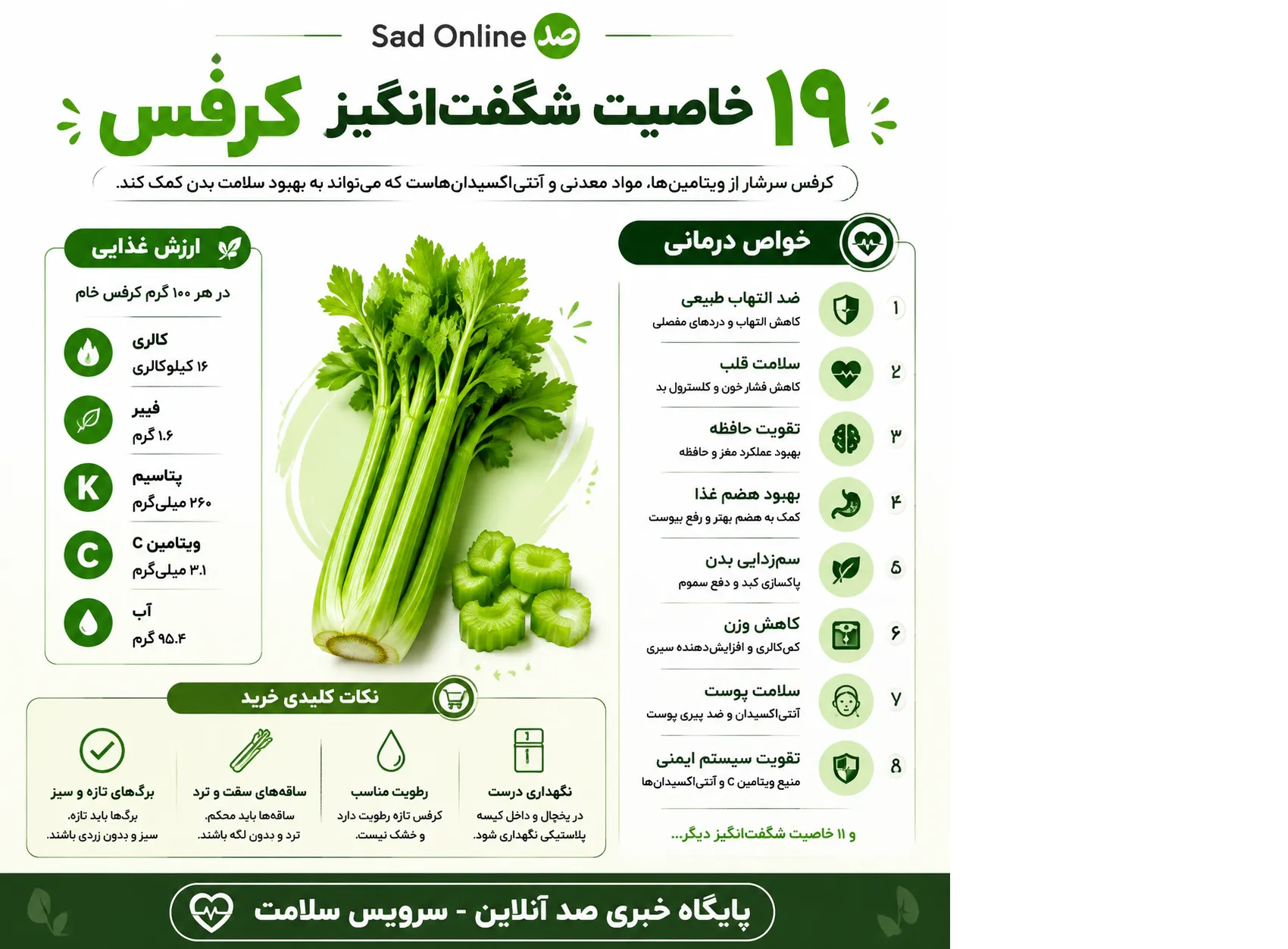 کرفس لاغری چربی سوزی کبد چرب
قلب معده سلامت اینفوگرافیک صد آنلاین