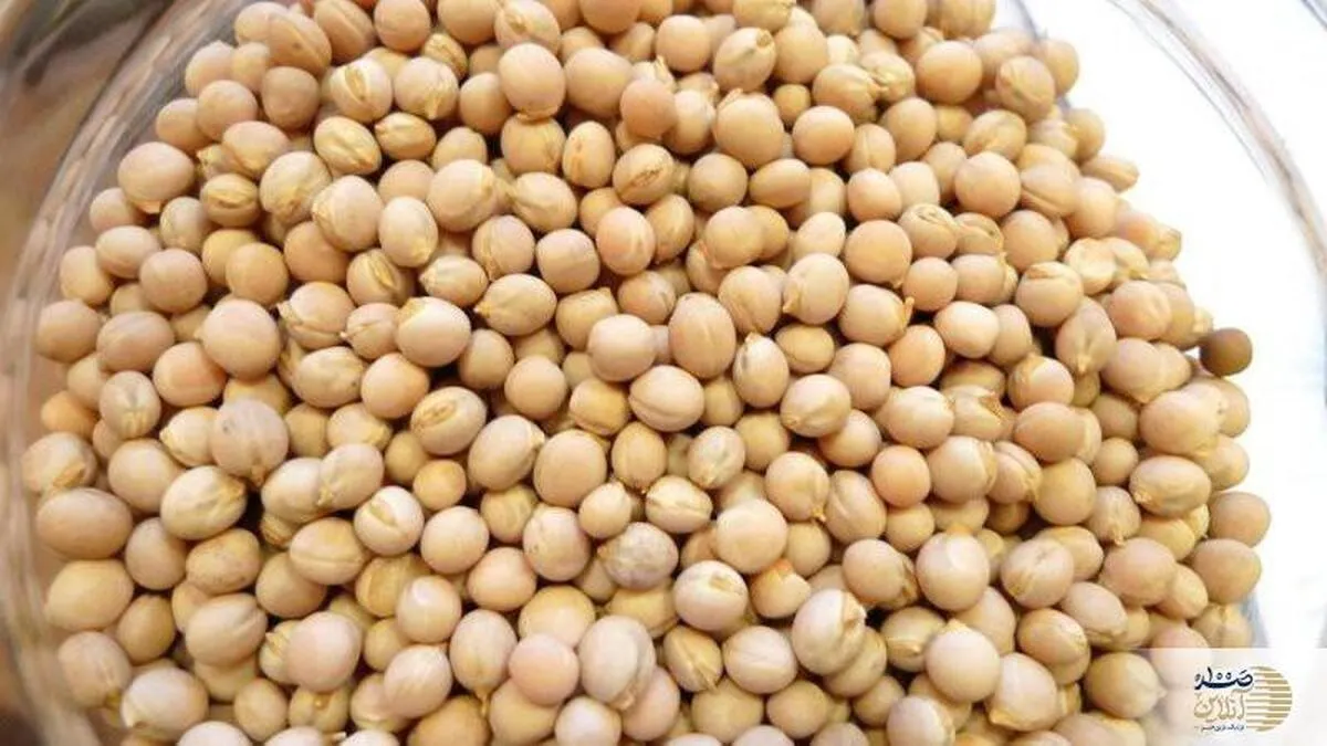 حذف مصرف این حبه دانه از غذا ها باعث ریزش مو ، سونامی قند خون و سنگ کلیه شده است