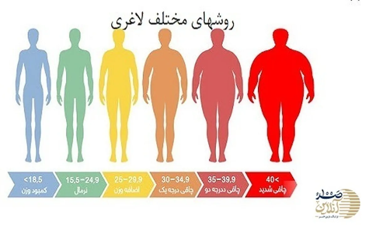 آمپولی برای کاهش وزن آمد/ با تزریق اول لاغر شوید!