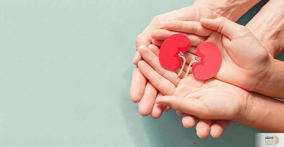 با این روش ایرانی سنگ کلیه بزرگ خود را پودر کنید